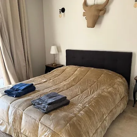 Holiday home Mas Le Petit